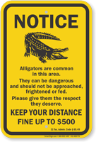 Keep Your Distance, Texas Alligator Warning Sign