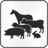 Barn and Equestrian Safety Quiz