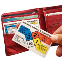 2-Sided Safety Wallet Card