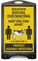 Notice: One cow apart for social distancing