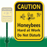 Drop in honeybee population worries U.S. farmers