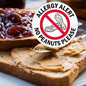 Allergy Alert No Peanuts Please