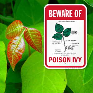 Beware of Poison Ivy Sign