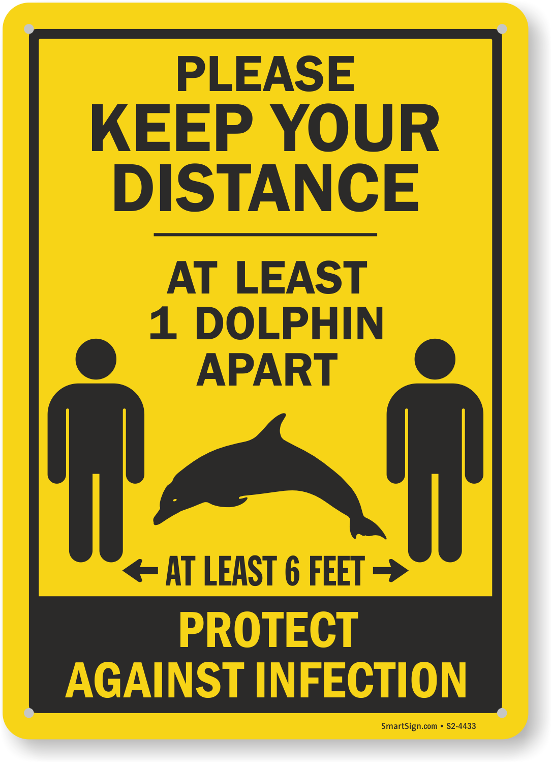 keep-your-distance-at-least-one-dolphin-