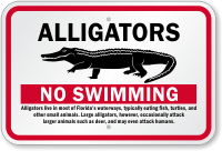 Alligators No Swimming Sign