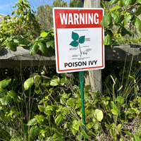 Caution: Poison Ivy Sign