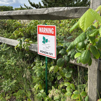 Lawnboss Sign for Poison Ivy Warning
